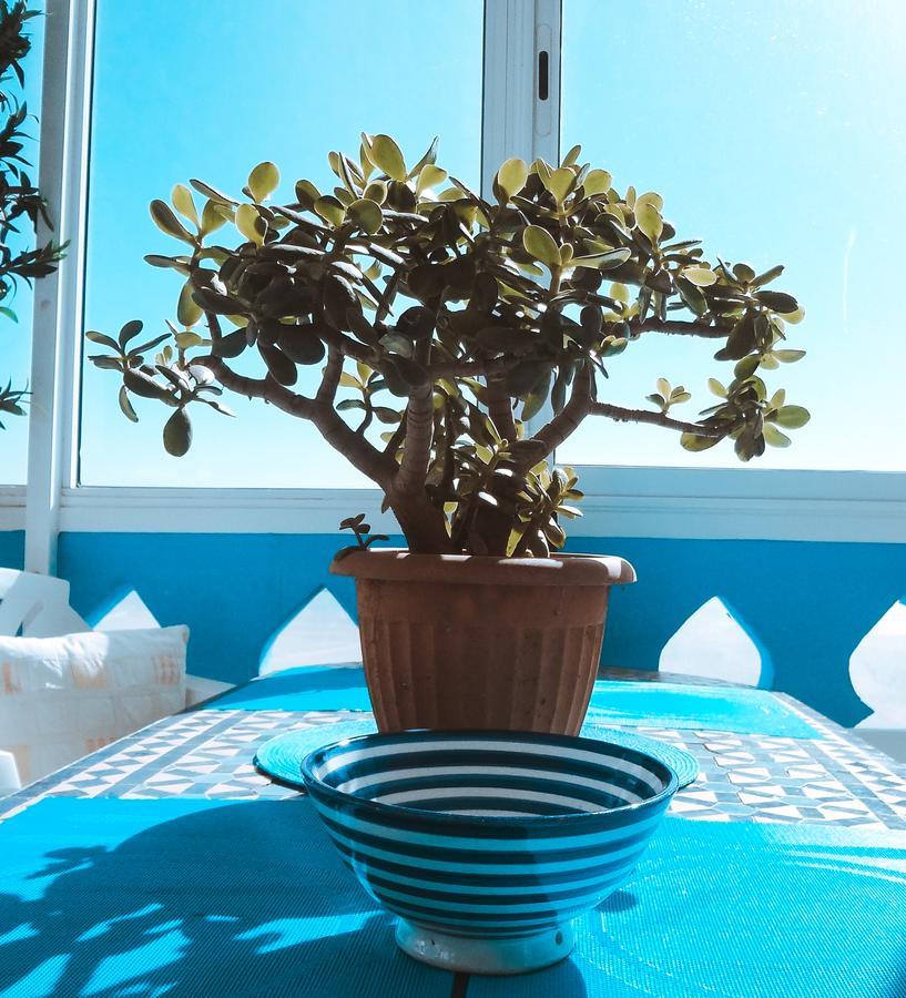 نزل تمراغتفي Surf & Yoga Paradise Morocco المظهر الخارجي الصورة