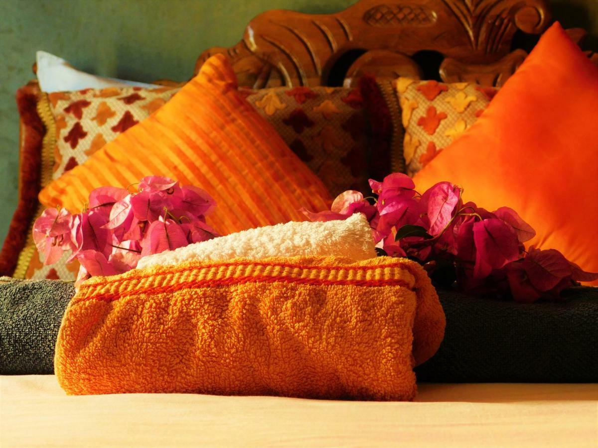 نزل تمراغتفي Surf & Yoga Paradise Morocco المظهر الخارجي الصورة